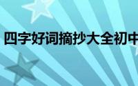 四字好词摘抄大全初中（四字好词摘抄大全）
