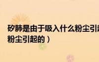 矽肺是由于吸入什么粉尘引起的命命（矽肺是由于吸入什么粉尘引起的）