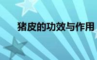 猪皮的功效与作用（猪皮的营养价值）