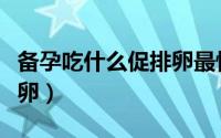 备孕吃什么促排卵最快（备孕期间吃什么促排卵）