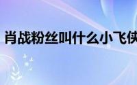 肖战粉丝叫什么小飞侠（肖战的粉丝叫什么）
