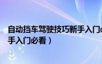 自动挡车驾驶技巧新手入门必看图片（自动挡车驾驶技巧新手入门必看）