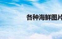 各种海鲜图片（海鲜图片）