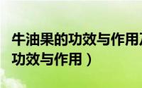 牛油果的功效与作用及营养价值（吃牛油果的功效与作用）
