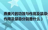 燕麦片的功效与作用及禁忌分别是什么呢（燕麦片的功效与作用及禁忌分别是什么）