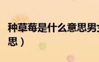 种草莓是什么意思男女之间（种草莓是什么意思）
