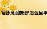 复原乳酸奶是怎么回事（复原乳酸奶好不好）