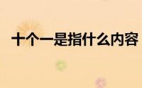 十个一是指什么内容（十个一内容是什么）