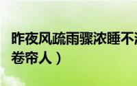 昨夜风疏雨骤浓睡不消残酒试问卷帘人（试问卷帘人）