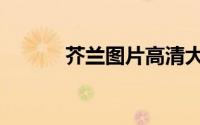 芥兰图片高清大图（芥兰图片）