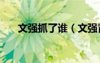 文强抓了谁（文强背后的保护伞是谁）