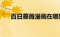 百日蔷薇漫画在哪里（百日蔷薇漫画）