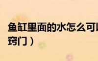 鱼缸里面的水怎么可以变清澈（鱼缸水变清小窍门）