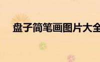 盘子简笔画图片大全可爱（盘子简笔画）