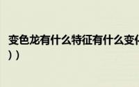 变色龙有什么特征有什么变化（变色龙有哪些特点(详细一点)）