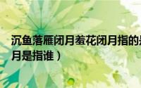 沉鱼落雁闭月羞花闭月指的是谁意思（沉鱼落雁闭月羞花闭月是指谁）