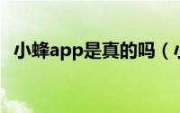 小蜂app是真的吗（小蜂财经24小时直播）