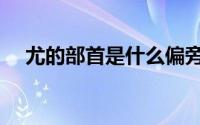 尤的部首是什么偏旁怎么读（尤的部首）