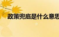 政策兜底是什么意思（兜底是什么意思）