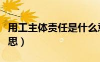 用工主体责任是什么意思（主体责任是什么意思）