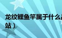 龙纹鲤鱼竿属于什么品牌（龙纹鲤鱼竿官方网站）