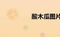 酸木瓜图片（酸木瓜）