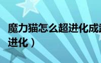 魔力猫怎么超进化成武斗酷猫（魔力猫怎么超进化）