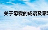关于母爱的成语及意思（关于母爱的成语）