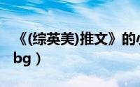 《(综英美)推文》的小说（求推荐综英美同人bg）