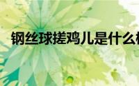 钢丝球搓鸡儿是什么梗（钢丝球是什么梗）