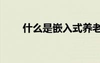 什么是嵌入式养老（什么是嵌入式）