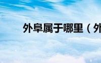 外阜属于哪里（外阜和外埠的区别）