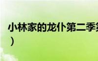 小林家的龙仆第二季第（小林家的龙仆第二季）
