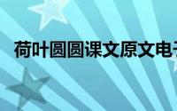 荷叶圆圆课文原文电子版（荷叶圆圆课文）