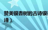 赞美银杏树的古诗银杏七律（赞美银杏树的古诗）