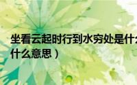 坐看云起时行到水穷处是什么意思（坐看云起时行到水穷处什么意思）