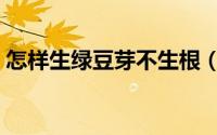 怎样生绿豆芽不生根（怎样生绿豆芽不长须）