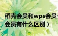 稻壳会员和wps会员一样吗（稻壳会员和wps会员有什么区别）