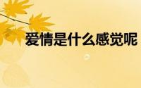 爱情是什么感觉呢（爱情是什么感觉）