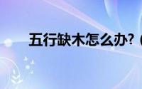 五行缺木怎么办?（五行缺木怎么办）