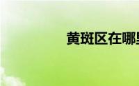 黄斑区在哪里（黄斑区）