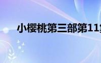 小樱桃第三部第11集（小樱桃第三部）