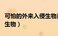 可怕的外来入侵生物是什么（可怕的外来入侵生物）