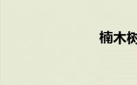 楠木树（楠）