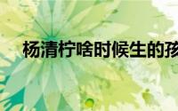 杨清柠啥时候生的孩子（杨清柠的孩子）