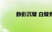 静影沉璧 白璧煮酒（静影沉璧）