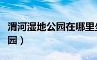 渭河湿地公园在哪里坐什么车去（渭河湿地公园）