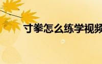 寸拳怎么练学视频（寸拳练习方法）