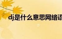 dj是什么意思网络语言（dj是什么意思）