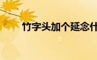 竹字头加个延念什么（竹字头加戈）